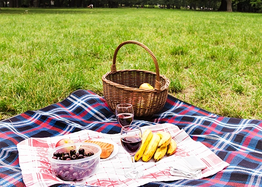 Picnic Area